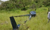 Trực thăng gẫy đuôi trong đám cỏ dày. Ảnh: Tanzania National Parks