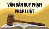 Người đứng đầu sẽ bị xử lý nếu trình, ban hành văn bản quy phạm pháp luật trái luật