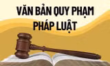Người đứng đầu sẽ bị xử lý nếu trình, ban hành văn bản quy phạm pháp luật trái luật