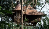 Độc đáo kiểu nhà lơ lửng trên cây cổ thụ giữa rừng 
