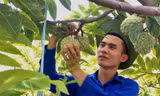 'Dân công nghệ' bỏ phố về quê khởi nghiệp với đặc sản Hải Phòng