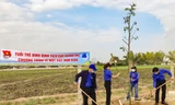 Bình Định ra quân Tết trồng cây. Ảnh: Trương Định