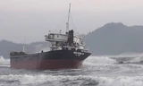 Va phải đá ngầm, tàu hàng bị mắc cạn trên biển. Ảnh: A.Cường