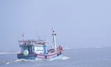Đã liên lạc được với tàu cá Bình Định mất tích nhiều ngày trên biển. Ảnh minh họa