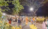 Đường hoa Phú Mỹ Hưng tấp nập người tham quan, bắt buộc đeo khẩu trang và khai báo y tế