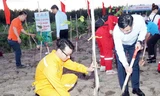 Petrovietnam phát động trồng cây phục hồi rừng trên đất ngập nước