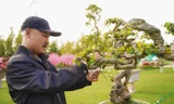 Cư dân Vinhomes thích thú tìm hiểu các tác phẩm bonsai được trưng bày
