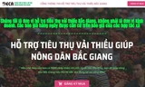 Bắc Giang kêu gọi cộng đồng hỗ trợ tiêu thụ vải thiều thông qua cổng thông tin