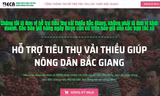 Bắc Giang kêu gọi cộng đồng hỗ trợ tiêu thụ vải thiều thông qua cổng thông tin