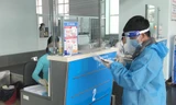Khách làm thủ tục lên chuyến bay của VASCO khởi hành từ sân bay Tân Sơn Nhất đi Rạch Giá sáng 13/10.