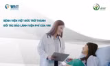 Bảo hiểm hàng không VNI nơi cung cấp các giải pháp an toàn và phát triển bền vững