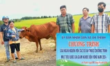 Tây Ninh thành công trong Chương trình giảm nghèo bền vững