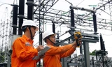 EVNSPC đảm bảo dịch vụ điện khi chuyển giao, sáp nhập các công ty điện lực theo địa giới hành chính mới
