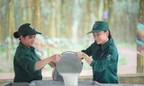 Tập đoàn Công nghiệp Cao su Việt Nam: Tăng tốc phát triển, tối ưu nguồn lực