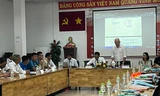 Bình Dương thay SHB Đà Nẵng dự giải U17 quốc gia K-Elec 2022
