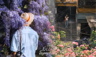 3 góc hoa đẹp nhất Hà Nội lúc này: Công viên Thống Nhất và thực vật cảnh đắt khách