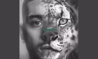 Sau Jisoo BLACKPINK, Zayn Malik sẽ "bắt tay" với một nhóm nữ K-Pop đình đám?