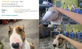 "Cậu Vàng" quán anh Hai ngoài đời là "nữ nhi", cũng trông tiệm nhưng không bán phở