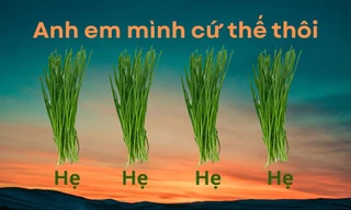 Loạt câu nói gây sốt năm 2025: Từ "Hẹ hẹ hẹ" đến "Flop quá thì ghi tên anh vào"