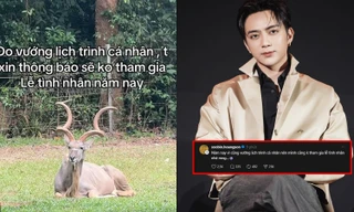 Rộ "văn mẫu" né ngày Valentine mới từ hội độc thân, đến SOOBIN cũng tham gia