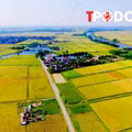 Chuyển đất nông nghiệp sang đất ở, thu bao nhiêu tiền là hợp lý?