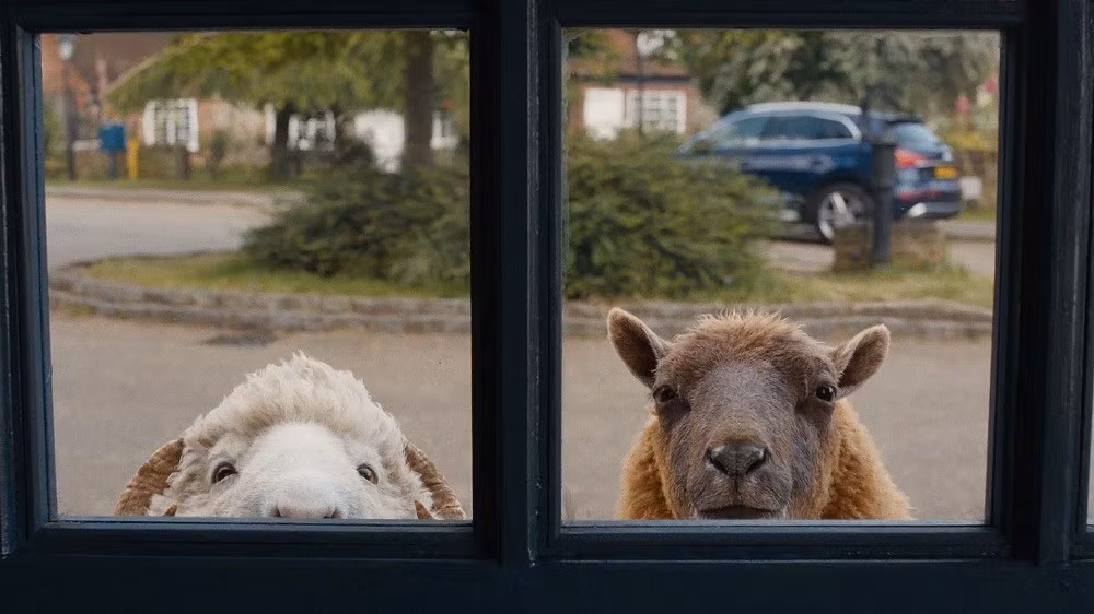 the-sheep-detectives-3.jpg