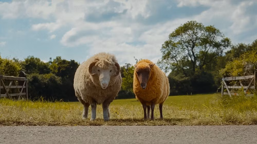 the-sheep-detectives-8.jpg
