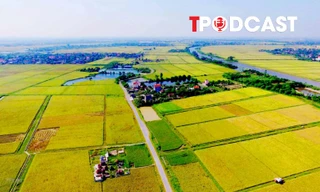 Chuyển đất nông nghiệp sang đất ở, thu bao nhiêu tiền là hợp lý?