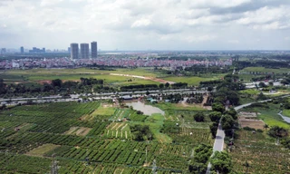 Thêm 3 thủ tục mới về đất đai làm tại cấp xã 