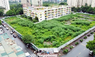 Cơ sở lúng túng với thủ tục đất đai, Cục Quản lý đất đai đề xuất tháo gỡ