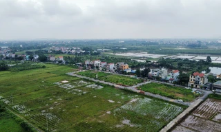 Kéo dài miễn thuế sử dụng đất nông nghiệp thêm 5 năm