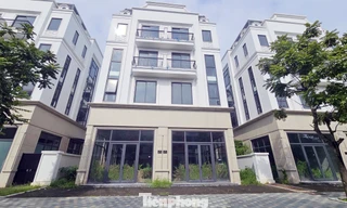 Chủ đầu tư 'đau đầu' với khu biệt thự, liền kề triệu đô bỏ hoang, cỏ dại mọc um tùm giữa Thủ đô