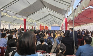 Đấu giá đất vùng quê: Giá 'bị đẩy' lên cao gấp 3 lần giá khởi điểm