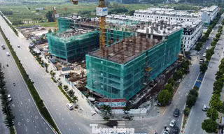 Giá nhà ở vẫn tiếp tục tăng