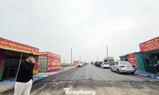 Đấu giá đất vùng quê: Chưa lên sàn 'cò đất' đổ về gây náo loạn