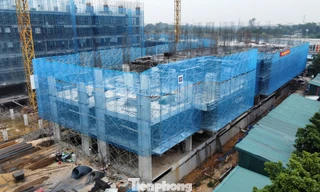 Hướng dẫn mới nhất xác nhận thu nhập mua nhà ở xã hội cho lao động tự do