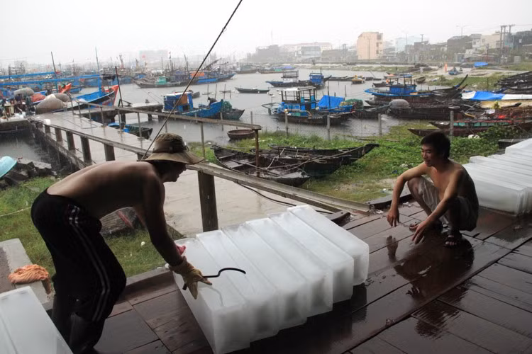Mỗi thanh đá có giá 14.000 đồng, theo các cơ sở sản xuất đá nếu ngư dân không tranh thủ lấy đá sớm, sau bão dễ phải “xếp hàng” vì nhu cầu cao