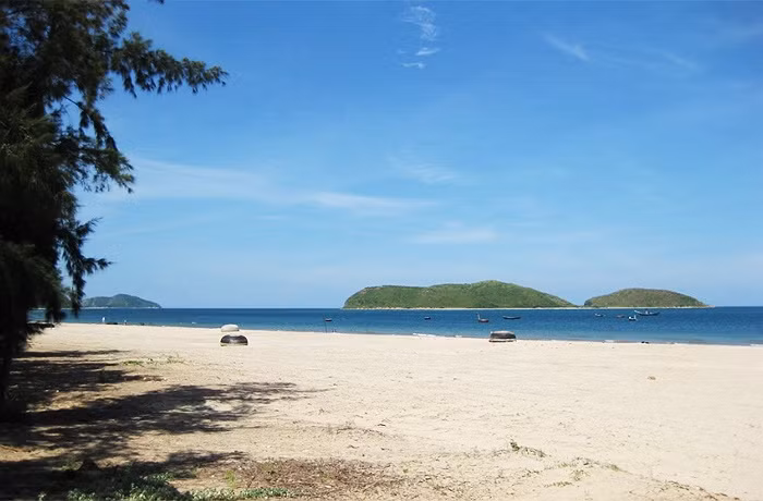 Biển Vũng Chùa có những bãi cát trắng trải dài và một triền cây thấp, lá hẹp, nước biển quanh năm trong xanh