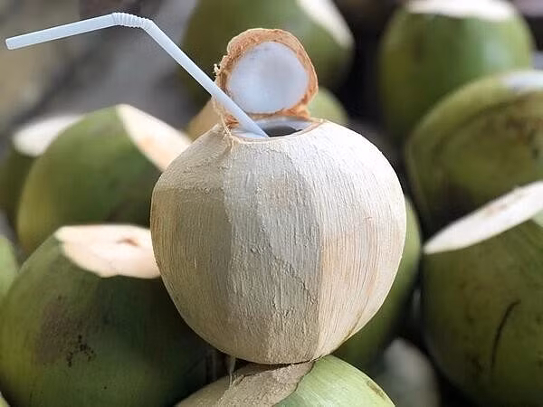 Hiệp hội Dừa Việt Nam đưa ra nhiều đề xuất nhằm giải cứu ngành dừa khỏi tình trạng nghẽn nguyên liệu. Ảnh minh họa: IT. Hiệp hội Dừa Việt Nam đưa ra nhiều đề xuất nhằm giải cứu ngành dừa khỏi tình trạng nghẽn nguyên liệu. Ảnh minh họa: IT.