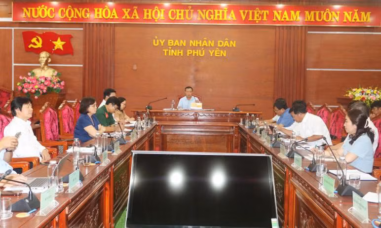 Phó Chủ tịch UBND tỉnh Đào Mỹ phát biểu chỉ đạo tại buổi làm việc. Ảnh: Ngô Xuân