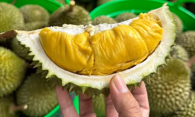 Sầu riêng là mặt hàng chủ lực trong xuất khẩu rau quả. Ảnh: Mạnh Khương.