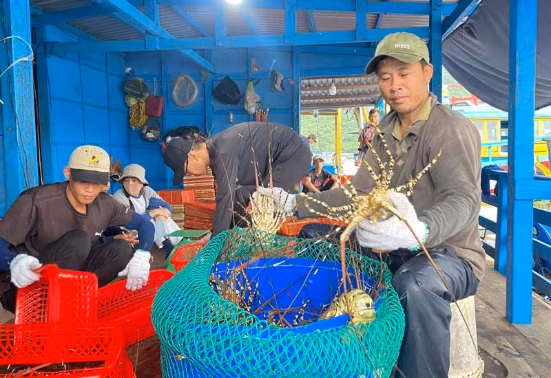 Xuất khẩu thủy sản tăng trưởng tích cực. Ảnh minh họa: IT.