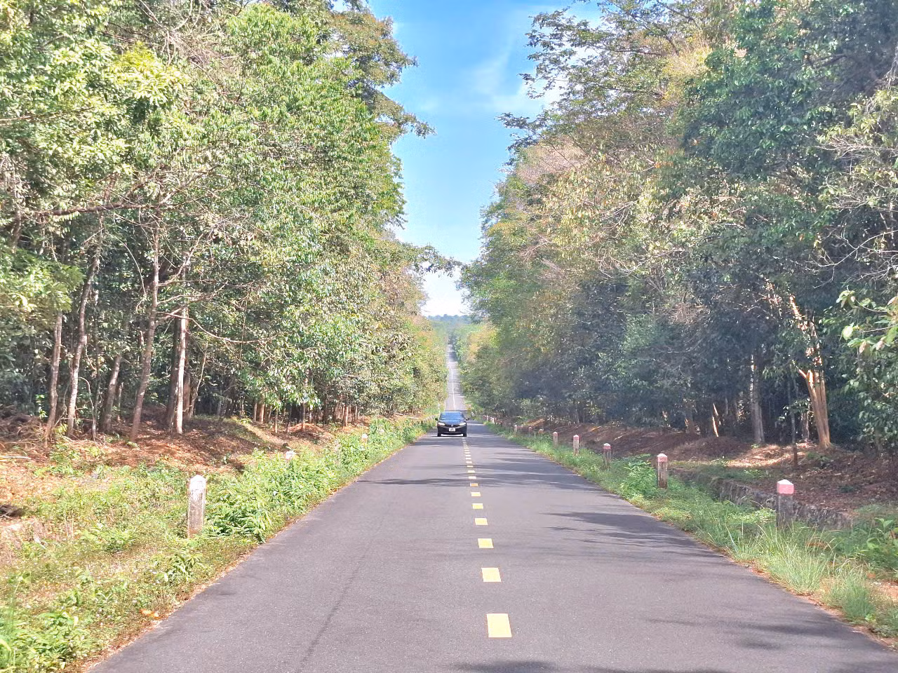 Tuyến đường xuyên rừng Khu bảo tồn thiên nhiên văn hóa Đồng Nai dài hơn 30km Tuyến đường xuyên rừng Khu bảo tồn thiên nhiên văn hóa Đồng Nai dài hơn 30km