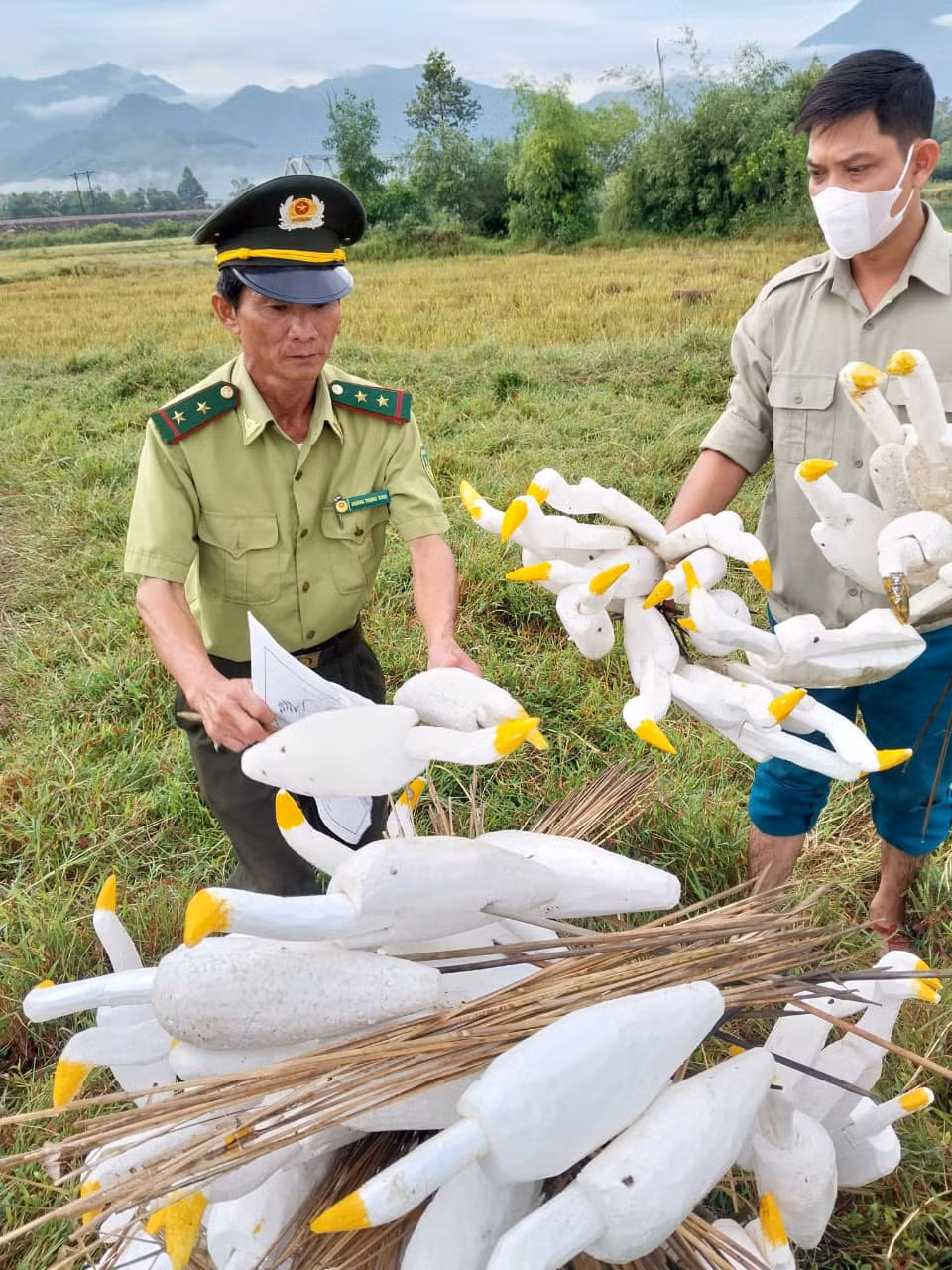 Lội đồng thu gom nhiều mô hình cò bằng xốp và que nhựa dính keo dùng bẫy cò. Lội đồng thu gom nhiều mô hình cò bằng xốp và que nhựa dính keo dùng bẫy cò.
