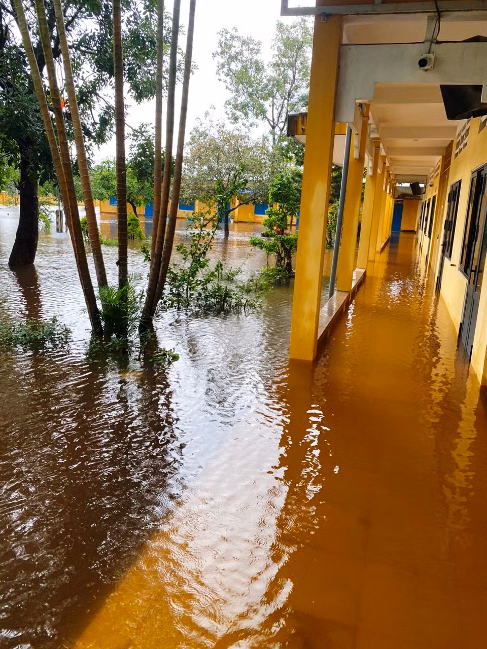 Đặc biệt, trên địa bàn huyện này đã có 23/56 trường học bị ngập nước, trong đó có 8 trường bị nước xâm nhập vào phòng học.