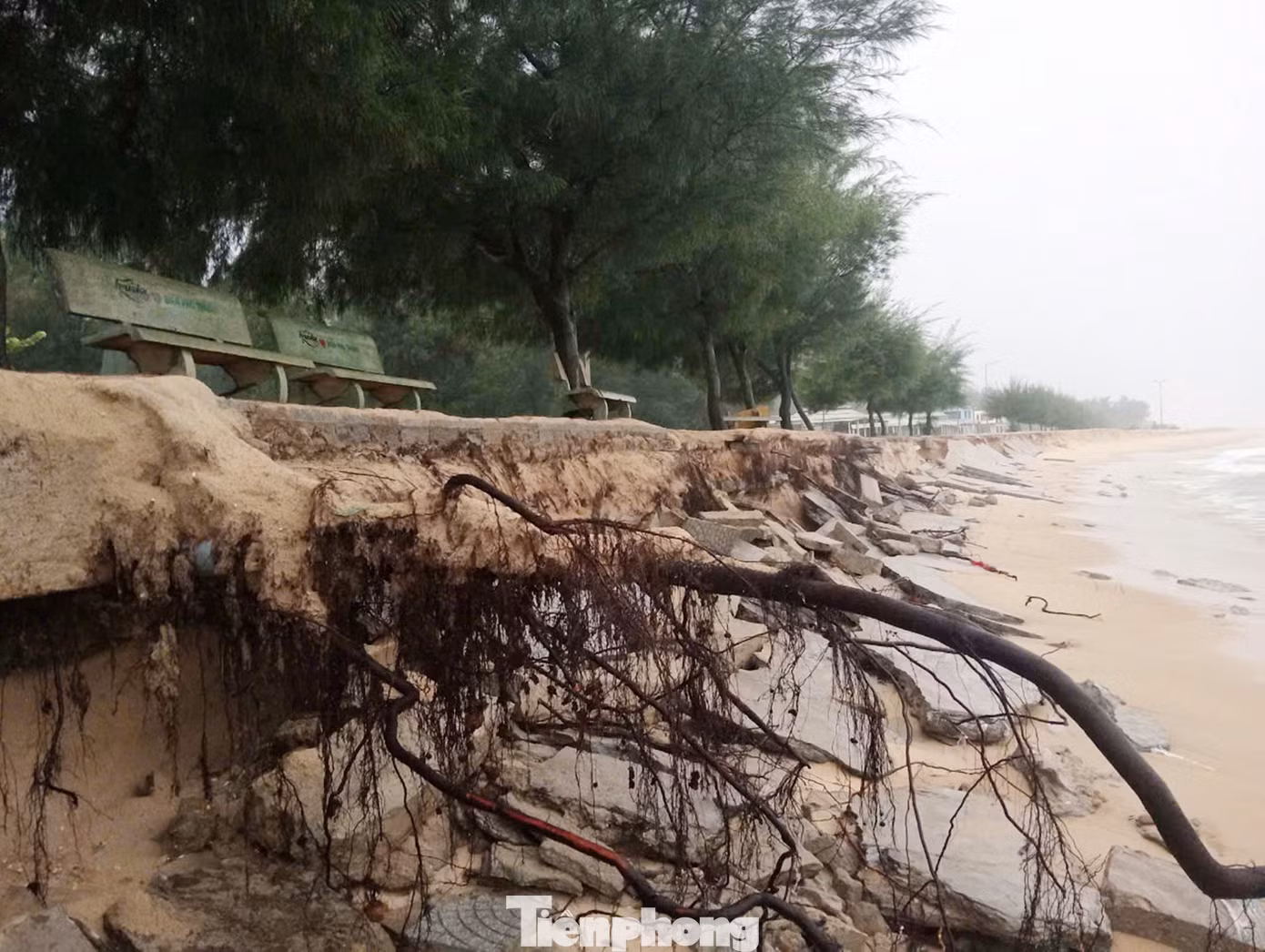 Khu vực bờ biển sạt lở xã Phú Thuận và phường Thuận An (thành phố Huế) vừa được Chủ tịch UBND tỉnh TT-Huế công bố tình huống khẩn cấp về thiên tai.