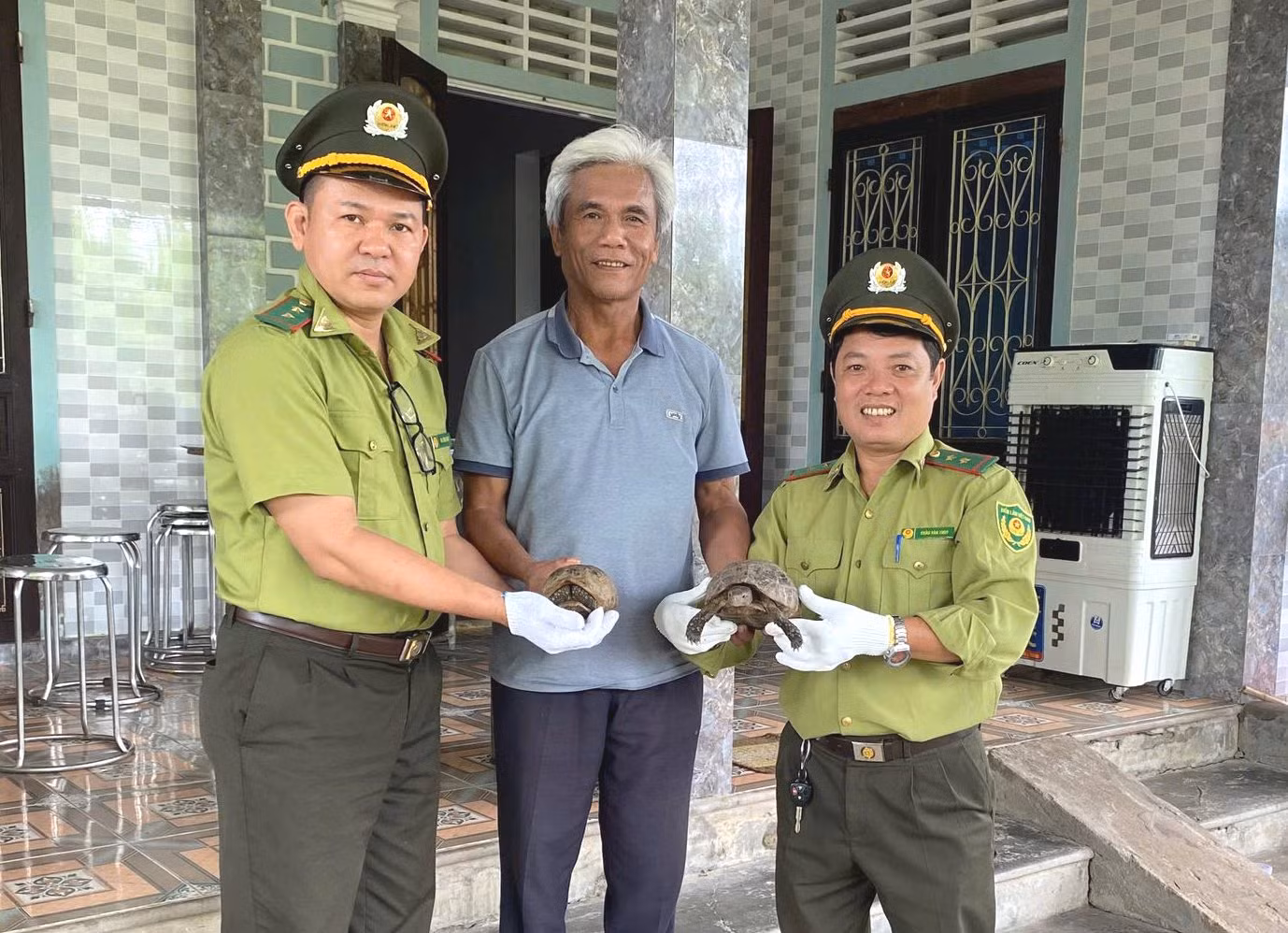 Tiếp nhận 2 cá thể rùa vàng (Indotestudo elongata) thuộc nhóm IIB. Tiếp nhận 2 cá thể rùa vàng (Indotestudo elongata) thuộc nhóm IIB.