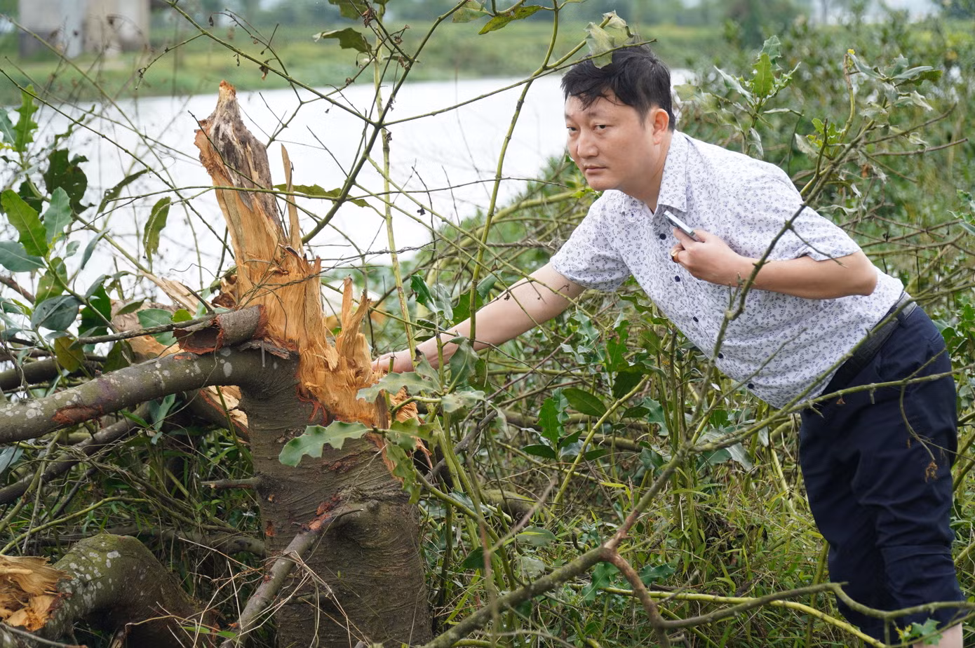Doanh nghiệp đã san ủi, nạo vét và đắp đê khi gặp cây trồng dọc kênh Hà Đồ mà không báo cáo cho chủ đầu tư để giải quyết. Ảnh: N.V