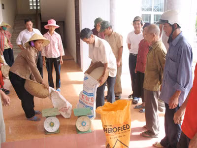 Người dân xã Công Liêm, huyện Nông Cống, nhận gạo cứu trợ lúc giáp hạt Ảnh: Báo Thanh Hóa