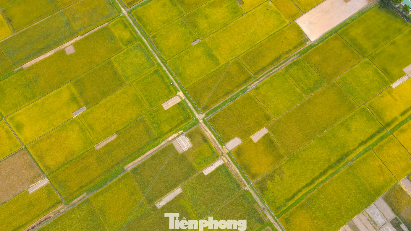 tp-1-4602-9486.jpg